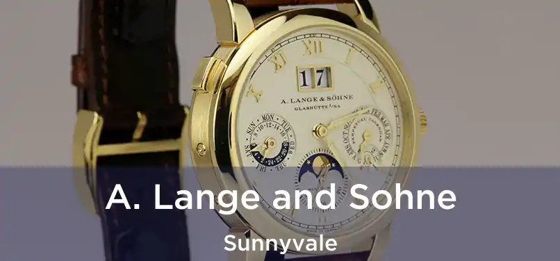 A. Lange and Sohne Sunnyvale