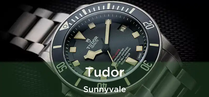 Tudor Sunnyvale