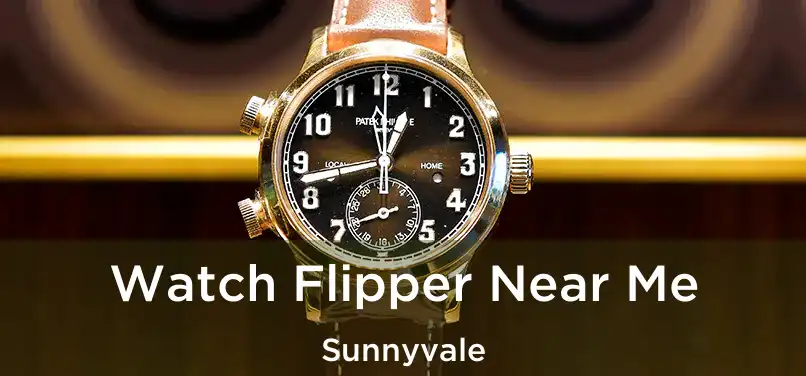 Watch Flipper Near Me Sunnyvale